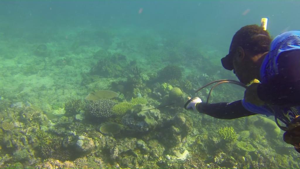 Yasawa Homestays Naisisili 외부 사진